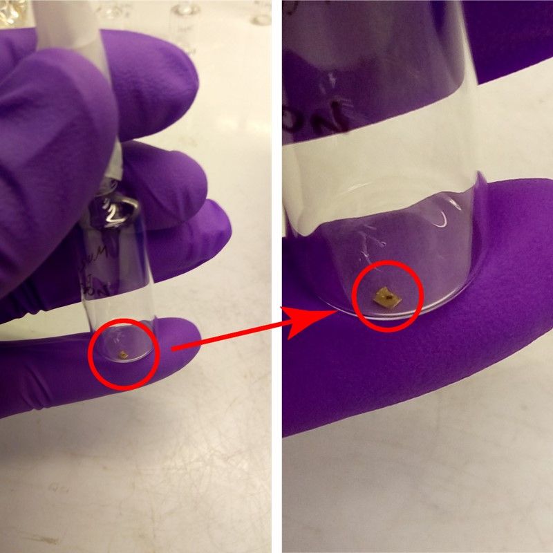 very small asteroid sample in a tube; sample is circled in red