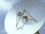 photo of large dish antenna